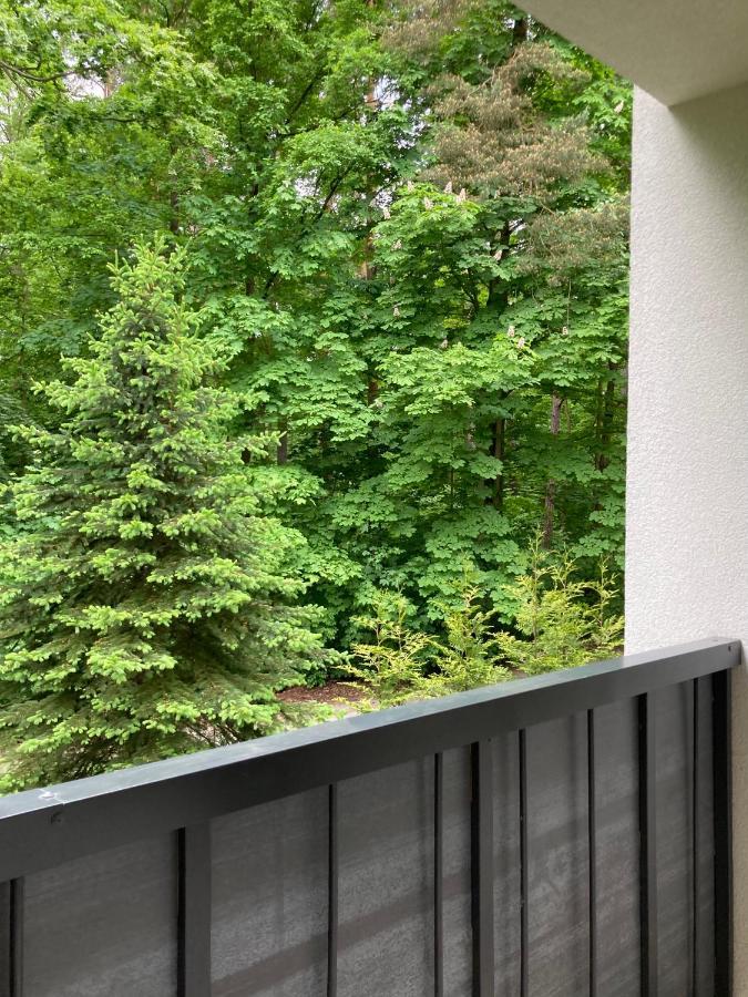 Apartament 221 Przy Niedzwiadku 폴라니카-즈루이 외부 사진